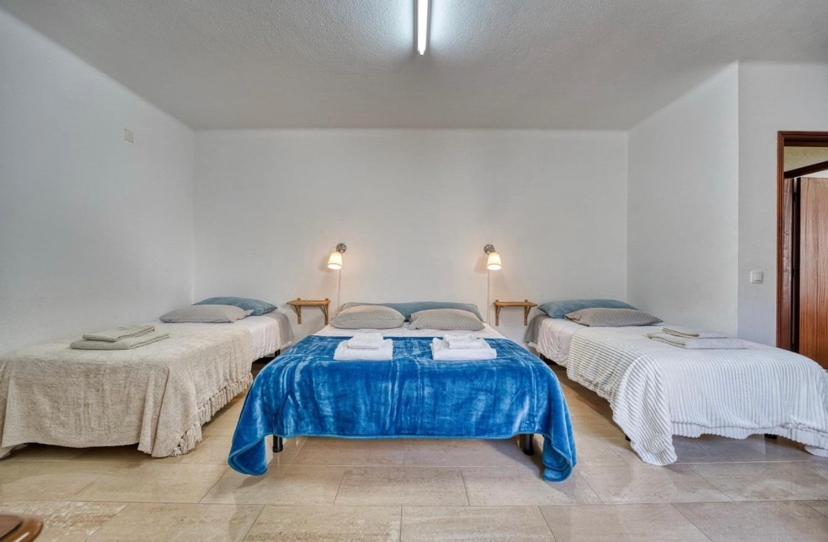Casa De Azzancha Guest House Azinhaga Ngoại thất bức ảnh