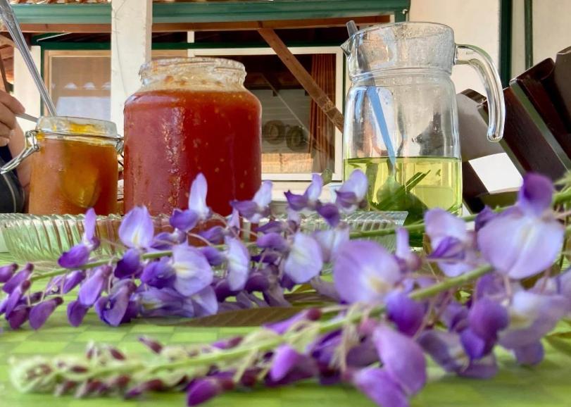 Casa De Azzancha Guest House Azinhaga Ngoại thất bức ảnh