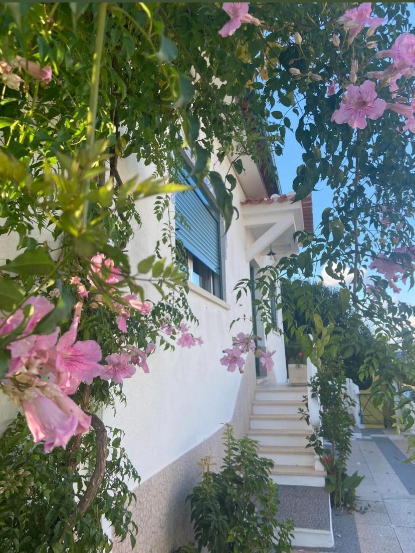 Casa De Azzancha Guest House Azinhaga Ngoại thất bức ảnh